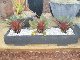 custom made low set contemporary Japanese style planter troughs or water boxes, charcoal lava stone finish