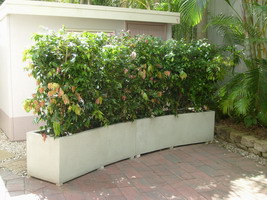 curved garden hedge planter boxes, white semi formal finish