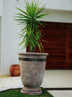 big mediterranean planter pot with steel band, aged terracotta semi formal finish on drip tray plinth