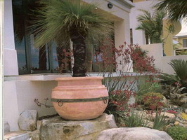 rustic mexixan wide base planter pot with plant, aged terracotta semi formal finish with steel band