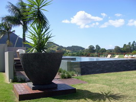 large lava stone feature pot with plant, charcoal finish with plinth