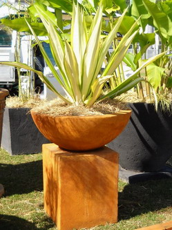 Potanico are creators of indoor and outdoor garden plant stands, pedestals and plinths. Modern plant pedestals and garden plinths for urns.