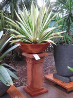 Planter bowl and pedestal with pattern at top, iron verdi semi formal finish.