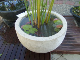 large garden water bowl with plant, off white volcanic scoria finish